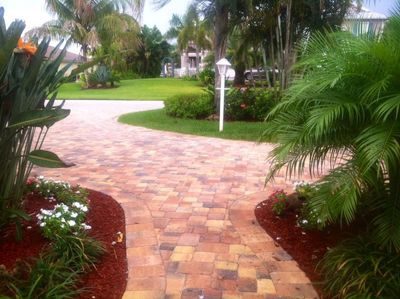 A brick walkway with palm trees and bushes